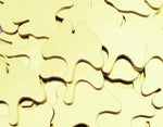 Brass Ginkgo Stamping Blanks