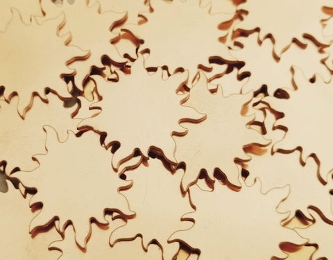 Bronze Sun Stamping Blanks