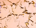 Copper Maple Leaf Stamping Blanks