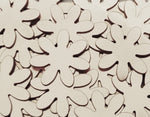 Nickel Silver Daisy Stamping Blanks