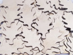 Nickel Silver Oak Leaf Stamping Blanks