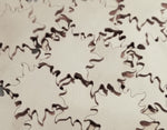 Nickel Silver Sun Stamping Blanks